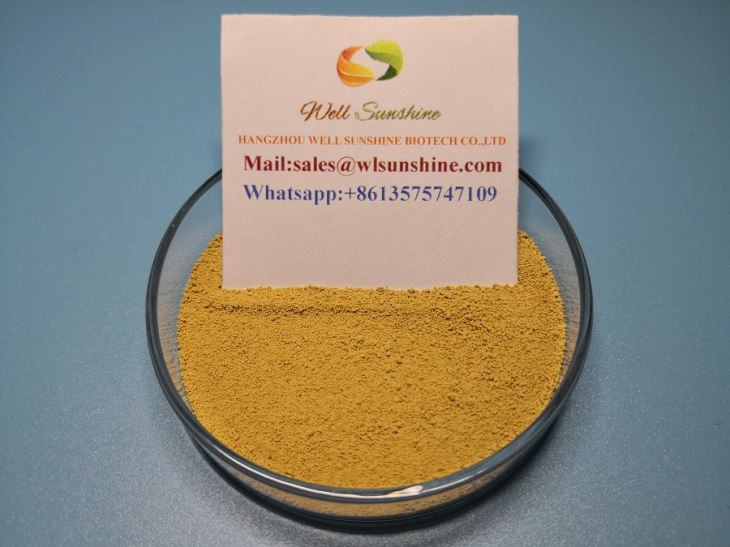 Best Selling Veterinary Medicine Salinomycin