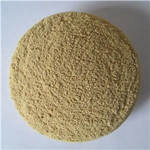 Bacillus Subtilis