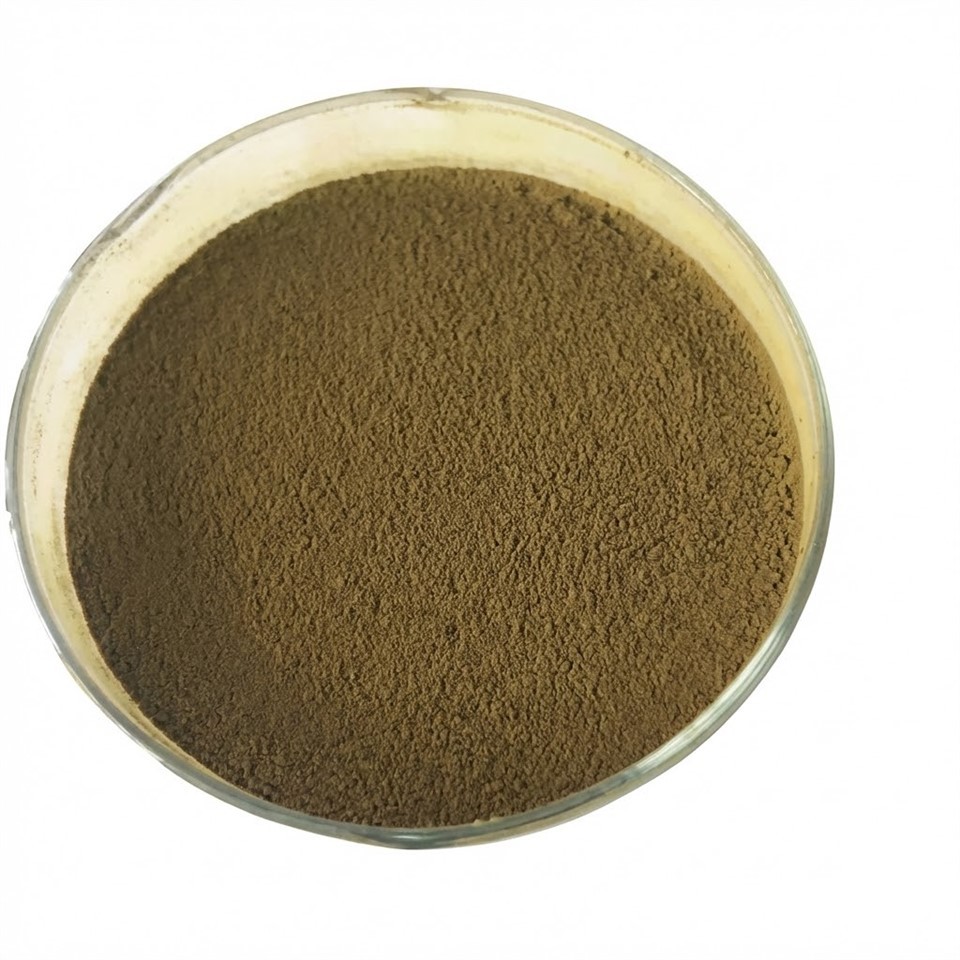 Aspergillus Oryzae: The Powerhouse For Bio-Fertilizer Fermentation