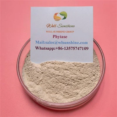 Phytase For Feed
